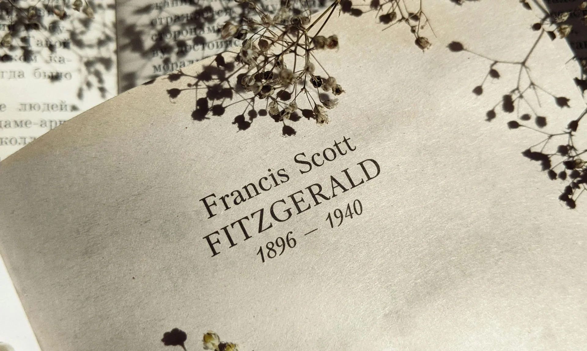 Francis Scott Fitzgerald horror and thriller book stack