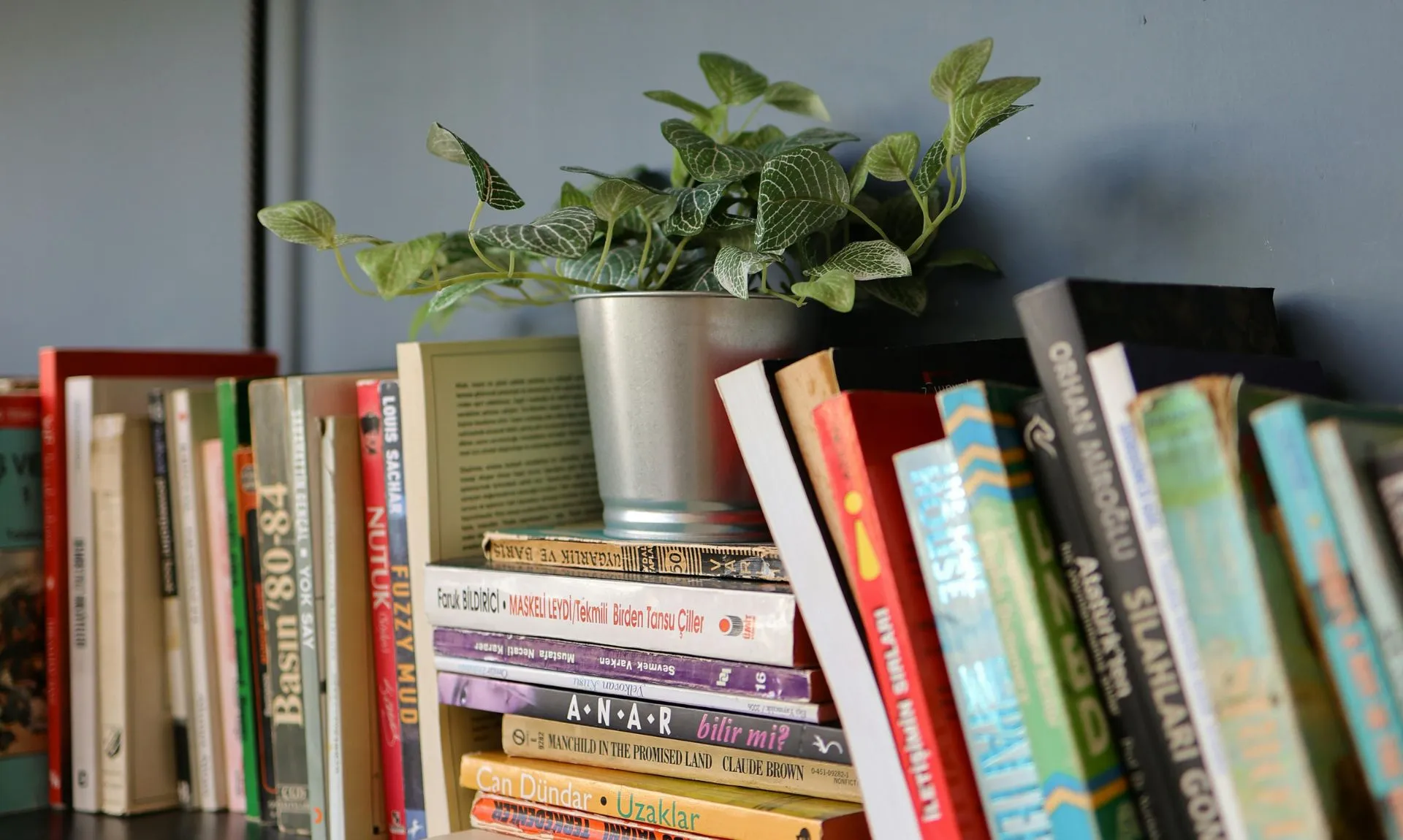 book-aesthetics-with-a-planter a stack of books with a planter