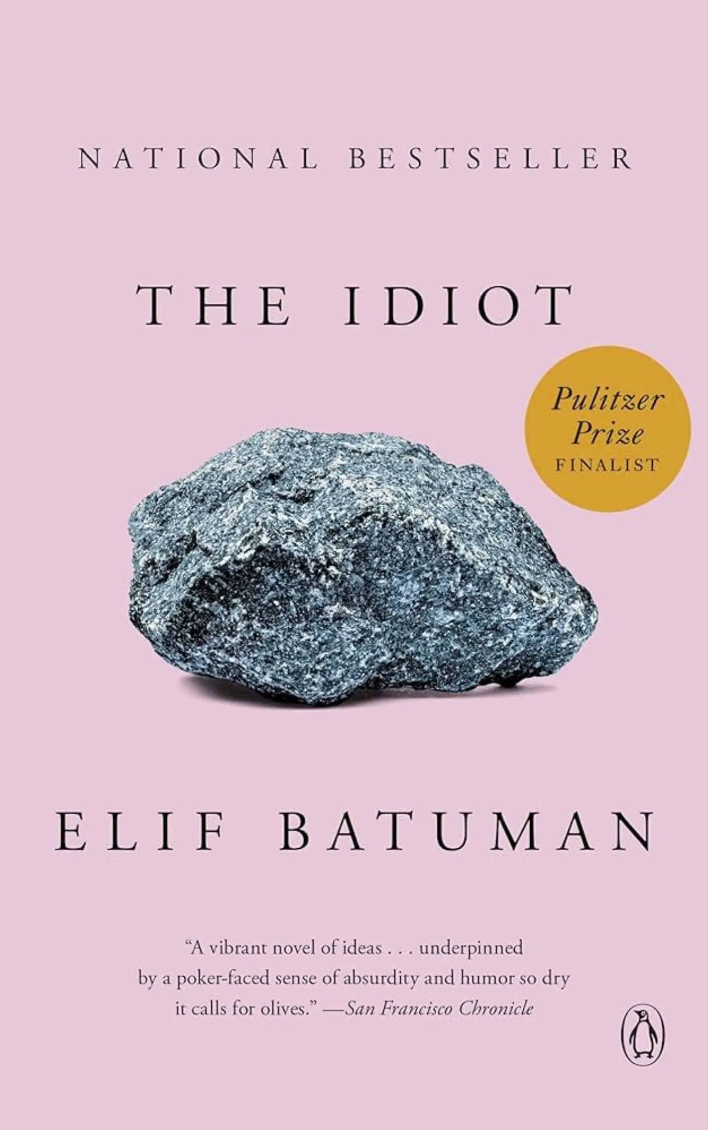 the-idiot-by-elif-batuman (1) the idiot by elif batuman