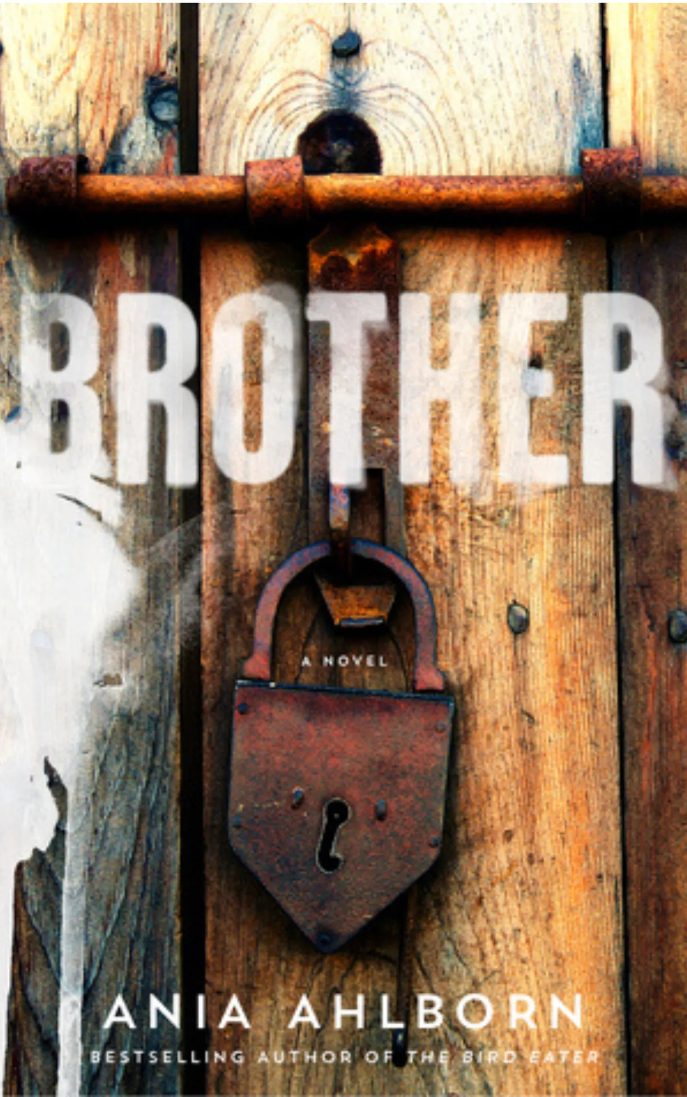 brother-by-ania-ahlborn Book cover of Brother by Ania Ahlborn.