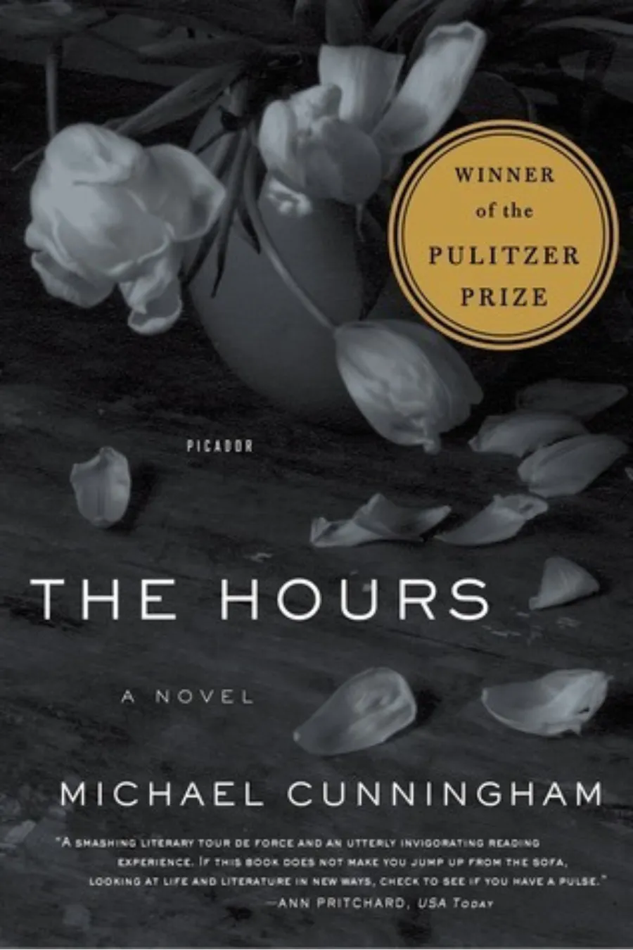 the-hours-by-michael-cunningham Book cover of The Hours by Michael Cunningham, a literary novel following three women connected through Mrs. Dalloway.